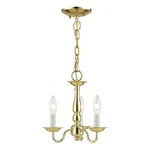 Livex Lighting Williamsburgh 3 Polished Brass Chain Hang/ceiling Mount. Fixed Price $104.99.