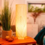 Eangee Cocoa Leaves Natural Cylinder Table Lamp. Fixed Price $188.00.