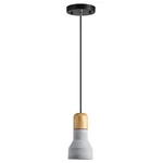 Light Society LS-C133 Rochester Pendant Lamp Gray. Fixed Price $43.42.
