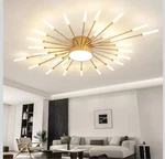 Star Burst Ceiling Light Modern Flower Shape Lamp Living Bedroom. Fixed Price $99.00.