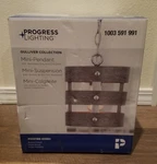 Progress Lighting Gulliver Single Mini-pendant Brush Nickel Finish. Fixed Price $14.99.