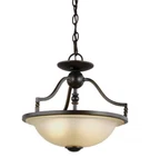 Sea Gull 7710602EN-191 Trempealeau Light 14" Roman Bronze Convertible. Fixed Price $199.95.