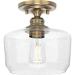 Progress Lighting Aiken Collection 1-LIGHT Vintage Brass Clear Glass Farmhouse. Fixed Price $24.99.