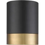 Z-lite 1006F6-MB-MGLD-LED Algar Flush Mount Matte Black And Modern Gold. Fixed Price $95.20.