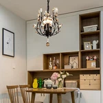 Elegant Black Crystal Chandelier Modern Ceiling Pendant Lighting Fixture. Fixed Price $50.21.