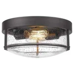 Jazava 12 In. 2-LIGHT Oil Rubbed Bronze Seeded Glass Ceiling Flush Mount. Fixed Price $43.69.
