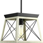 Progress Lighting P500041-143 Briarwood One-light Mini-pendant Fixtures. Fixed Price $39.95.