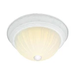 Nuvo SF76/127 Two Light 13" Flush Mount Textured White. Fixed Price $25.99.