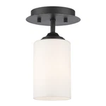 Z-lite Bordeaux Flush Mount Light, Bronze, Matte Opal 435F1-BRZ. Fixed Price $49.99.