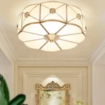 Led Light Modern Style E27 Indoor Ceiling Lamp Flower Shaped Fixture 110-240V. Fixed Price $65.92.