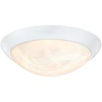 Westinghouse Lighting 6106600 11-INCH Energy Star Led Indoor Flush Mount Ceiling. Fixed Price $49.13.