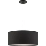 Livex Lighting 45660-04 Bainbridge 3 18 Inch Black Pendant Ceiling. Fixed Price $233.96.