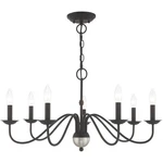Livex Lighting 52167-04 Windsor 28 Inch Black Chandelier Ceiling. Fixed Price $223.97.