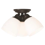 Livex Lighting Somerville Flush Mounts, Bronze 13664-07. Fixed Price $127.96.