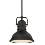Westinghouse 63082A Boswell 9"W 1 Light Led Mini Pendant. Fixed Price $66.13.