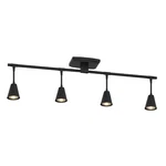 Modern Led 4-LIGHT Track Lighting, Matte Black, 32 Inch, GU10 Bulb Incl.... Fixed Price $232.49.