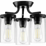 Progress Lighting Lassiter Black 3-LIGHT Semi-flush Mount 13" Clear P350149-031. Fixed Price $49.99.
