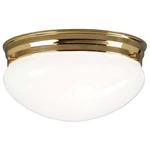 Access Lighting Ceiling Fixture Flush Mount Frosted Glass Dome Polished Brass. Fixed Price $19.95.