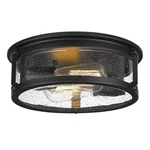 Black Flush Mount Ceiling 2-LIGHT Metal Cage Seeded Glass 12 Inch. Fixed Price $82.24.
