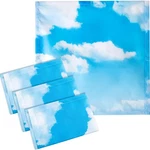 Vihose 4 Pcs 2 X Feet Fluorescent Covers For Ceiling Lights Sky Cloud. Fixed Price $24.64.