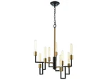 Elk Lighting Congruency 9-LIGHT Oil Rubbed Bronze Satin Brass Chandelier 12206/9. Fixed Price $79.99.