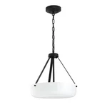 Progress Lighting Lieon 3-LT Convertible Pendant, Black/white P500507-031. Fixed Price $149.99.
