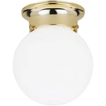 Westinghouse Lighting 6667700 One Ceiling Fixture. Fixed Price $29.64.
