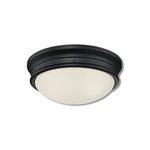 Westinghouse Meadowbrook Switch Incandescent Matte Black Wall Pack Light 63241. Fixed Price $54.99.