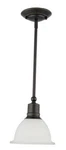 Progress Lighting P5078-20 Madison Pendants Bell Shade Antique Bronze. Fixed Price $47.24.