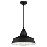 Westinghouse 6131900 Academy Vintage-style One Light Led Indoor Pendant With. Fixed Price $124.40.