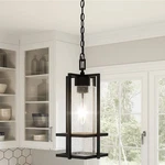 Quoizel Damien 17 1/4" High Earth Black Outdoor Mini-pendant Light. Fixed Price $279.99.