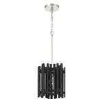 Craftmade Mini Pendant Light. Fixed Price $49.99.