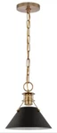Satco Nuvo 60-7521 Burnished Brass /light Matte Black Indoor Drop Down Lamp. Fixed Price $79.99.