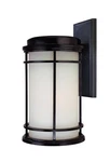 Dolan Designs 9107-68 Mirage Light 21 Winchester Exterior Wall Lantern. Fixed Price $395.00.