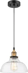 Fine Art Living GH02 1-LIGHT Modern Glass Pendant Hanging Fixture, Black. Fixed Price $69.95.