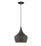 Livex Lighting Mini Pendant Bronze- Antique Brass 41186-7. Fixed Price $29.99.