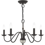 Livex Lighting 52165-04 Windsor 24 Inch Black Chandelier Ceiling. Fixed Price $229.96.