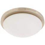 Nuvo 60/2941 Small Button With White Glass, Brushed Nickel. Fixed Price $62.99.