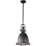 Maxim Lighting Hi-bay 1-LIGHT Pendant Bronze 25104FTBZ. Fixed Price $219.99.