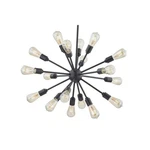 Alfa 18-LIGHT Indoor Sputnik Chandelier With Mate Black Finish. Fixed Price $46.19.