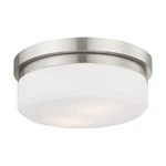 Used Livex Lighting 7391-91 Stratus 2 Flush Mount Coastal Style 11. Fixed Price $117.27.