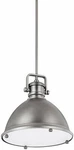 Capital Lighting 4432AN Transitional 1-LIGHT Pendant, Antique Nickel Finish. Fixed Price $169.99.