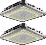 Lightdot 100W Led Celling Lights 15000LM For Garage, Canopy, Carport..... Fixed Price $89.99.