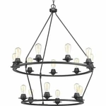 Progress Lighting P400017-143 Debut Chandelier Graphite 15 36" Ring. Fixed Price $449.95.