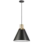 Dainolite Sonus Light Pendant, Matte Black/aged Brass SNS-141P-MB-AGB. Fixed Price $270.00.