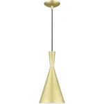 Livex Lighting 41185-33 Waldorf Pendant Soft Gold With Polished Brass Accents. Fixed Price $129.96.