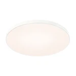 Dals Lighting TLFM21-CC Fusion 21"W Flush Mount Drum Ceiling White. Fixed Price $224.80.