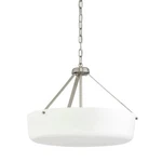 Progress Lighting P500508 Lieon 3 21"W Pendant / Converts - Nickel. Fixed Price $259.98.