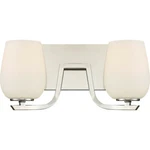 Quoizel Holland 14" Bath Vanity Light Fixture Polished Nickel HLD8602PK. Fixed Price $49.99.
