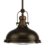 Progress Lighting P5188-LED Bronze Fresnel Lens Single 12"W Pendant. Fixed Price $249.95.